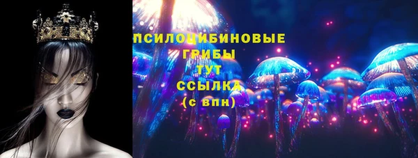 прущая мука Арсеньев