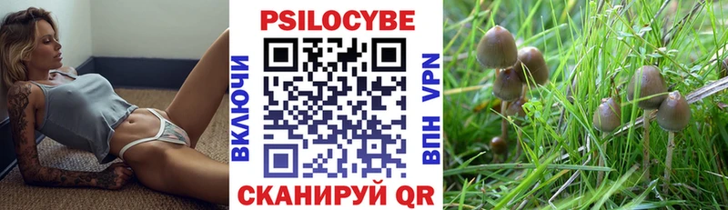 Галлюциногенные грибы Psilocybine cubensis  Купить  Смоленск 